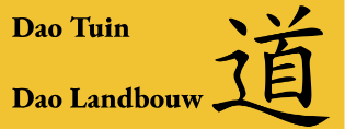 Daotuin