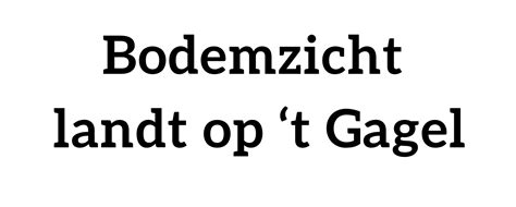 T gagel